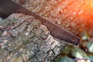 Roestige zaag schoonmaken